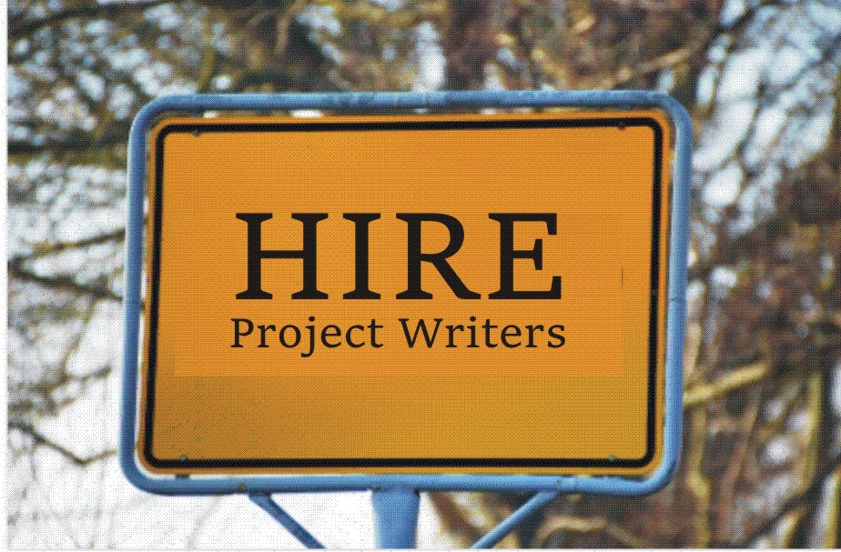 professional project writers for hire
